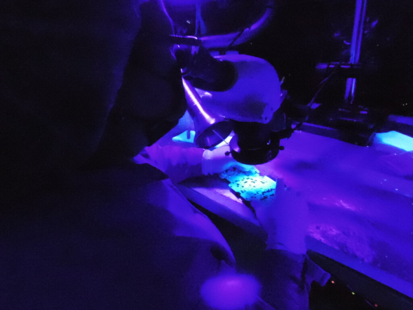 a person uses a microscope to inspect the coating on an electrical circuit 
